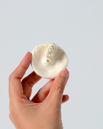 CONCH INCENSE HOLDERS